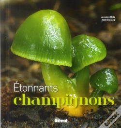 Capa do artigo Étonnants Champignons