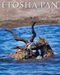 Etosha Pan - Preview