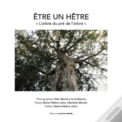 Capa do artigo Être Un Hêtre :  L'Arbre Du Pré De L'Arbre