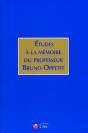 Études À La Mémoire Du Professeur Bruno Oppetit - Preview