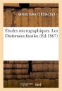 Etudes Micrographiques. Les Diatomees Fossiles - Preview