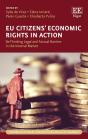 Eu Citizens' Economic Rights In Action - Preview
