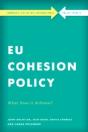 Eu Cohesion Policy In Practice - Preview