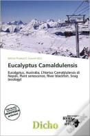 Eucalyptus Camaldulensis