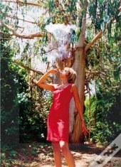 Eucalyptus