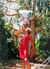 Capa do artigo Eucalyptus