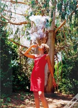 Capa do artigo Eucalyptus