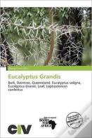 Eucalyptus Grandis