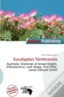 Eucalyptus Tereticornis