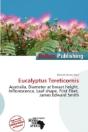 Eucalyptus Tereticornis - Preview