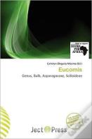 Eucomis