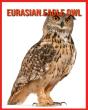 Eurasian Eagle Owl - Preview