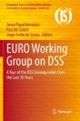 Euro Working Group On Dss - Preview