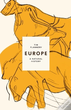 Capa do artigo Europe