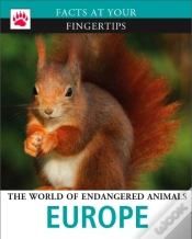 Capa do artigo Europe
