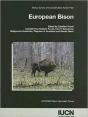 European Bison - Preview