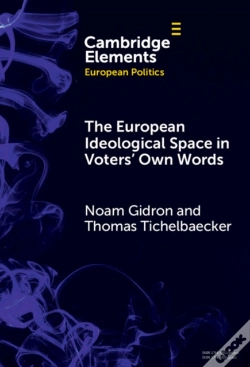 Capa do artigo European Ideological Space In Voters' Own Words
