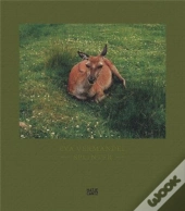 Eva Vermandel Splinter /Anglais