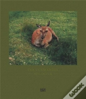 Capa do artigo Eva Vermandel Splinter /Anglais
