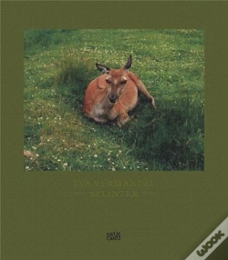 Capa do artigo Eva Vermandel Splinter /Anglais
