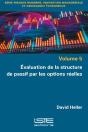 Évaluation De La Structure De Passif Par Les Options Réelles - Preview