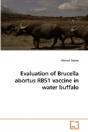 Evaluation Of Brucella Abortus Rb51 Vacc - Preview