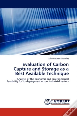 Capa do artigo Evaluation Of Carbon Capture And Storage As A Best Available Technique