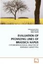 Evaluation Of Promizing Lines Of Brassic - Preview