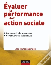 Évaluer La Performance De L'Action Sociale : Comprendre Le Processus, Construire Les Indicateurs