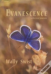 Capa do artigo Evanescence