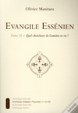 Capa do artigo Evangile Essenien - T.18 - Quel Chercheur Es-Tu ?