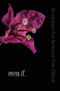 Even If. - Preview