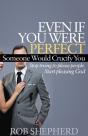 Even If You Were Perfect, Someone Would Crucify You - Preview