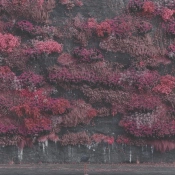 Capa do artigo Even in Arcadia - CD