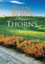 Even Roses Have Thorns - Preview