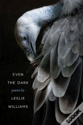 Even The Dark