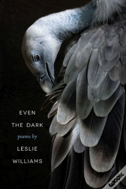 Capa do artigo Even The Dark