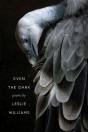 Even The Dark - Preview