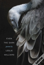 Capa do artigo Even The Dark