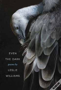 Capa do artigo Even The Dark