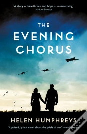 Capa do artigo Evening Chorus