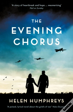 Capa do artigo Evening Chorus
