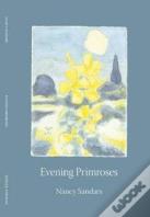 Evening Primroses