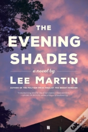 Capa do artigo Evening Shades