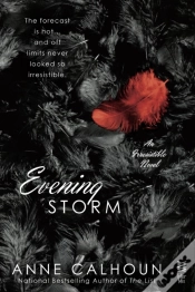 Capa do artigo Evening Storm