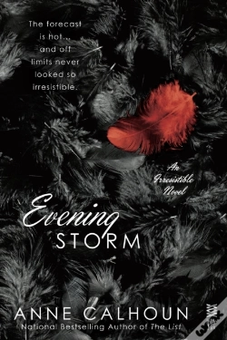 Capa do artigo Evening Storm