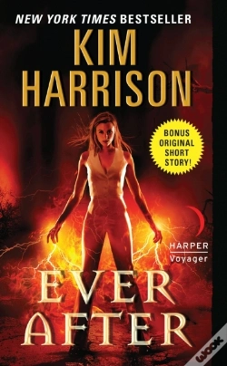 Capa do artigo Ever After
