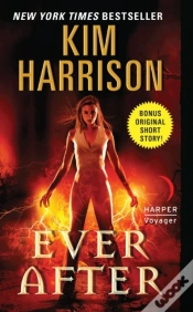 Capa do artigo Ever After