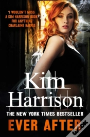 Capa do artigo Ever After