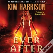 Capa do artigo Ever After